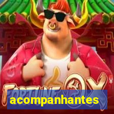 acompanhantes chamadas de video